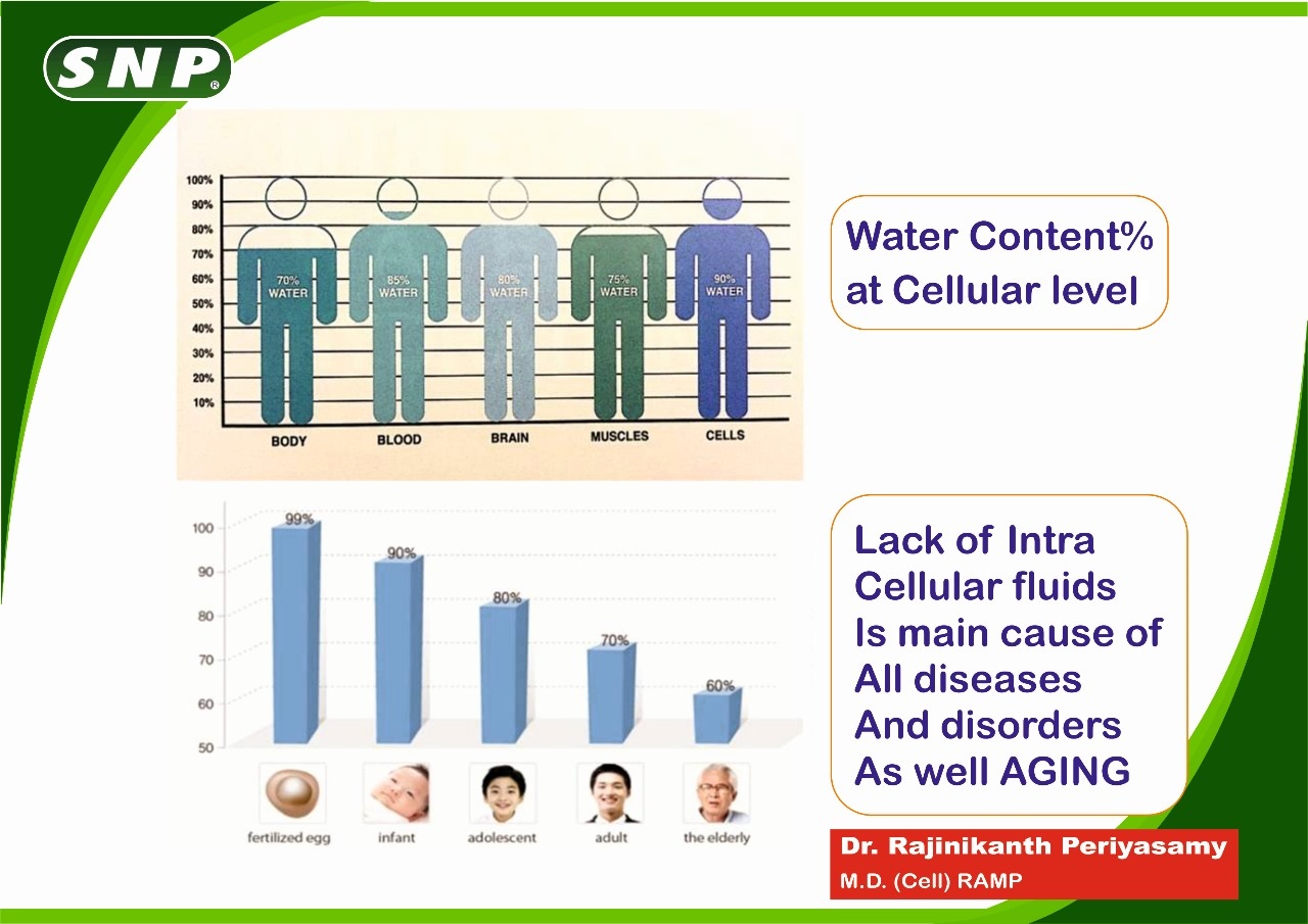 snp water content at cellular level