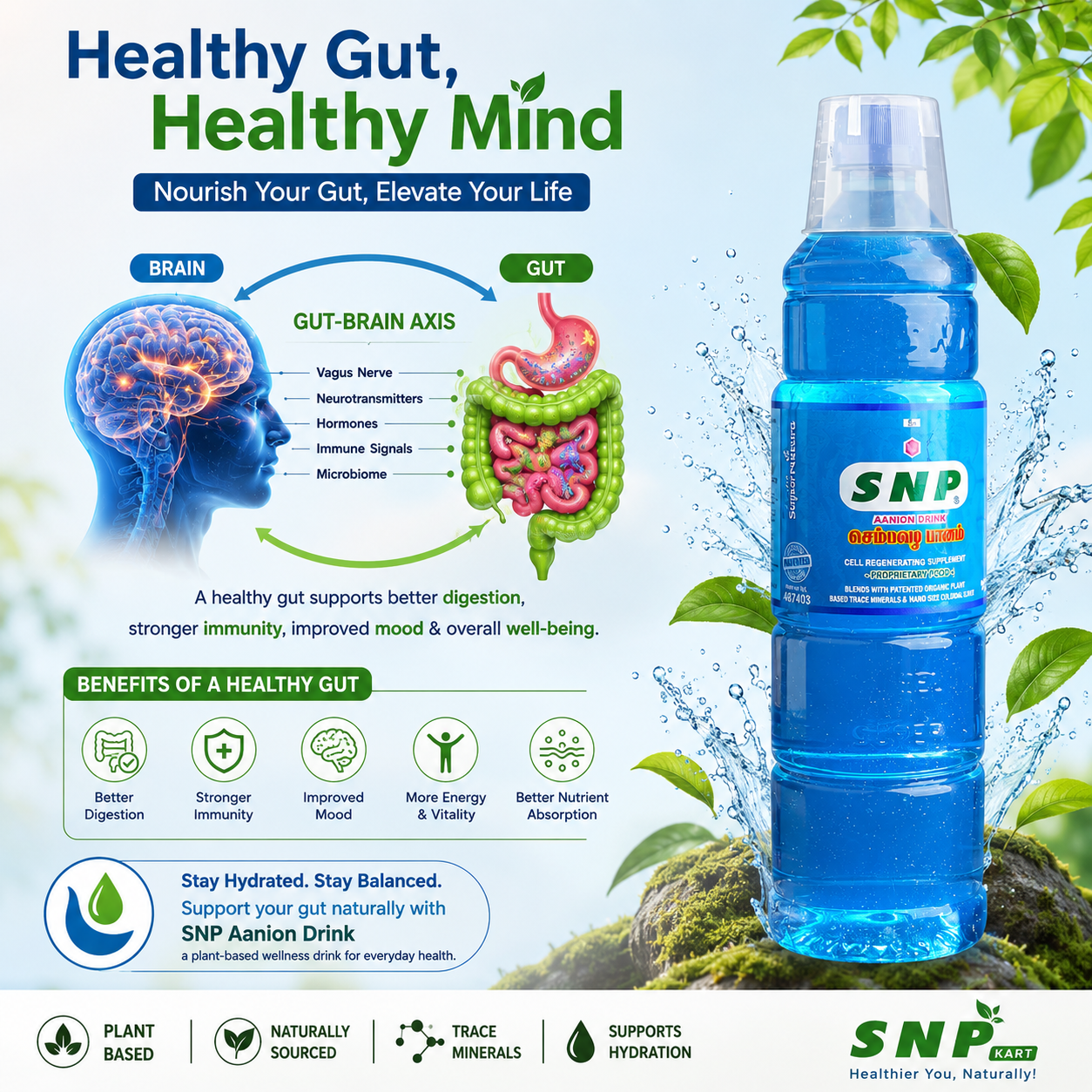 Gut Health_SNP Drink