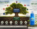 snp aanion drink nourish the roots